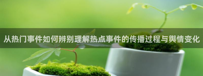 最新网络话题