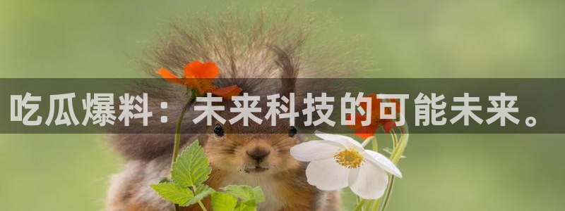 热点资讯大全